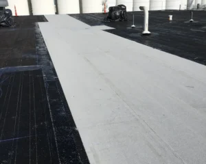 Compare APP and SBS modified bitumen membranes performance